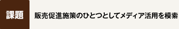 【課題】販売促進施策のひとつとしてメディア活用を模索